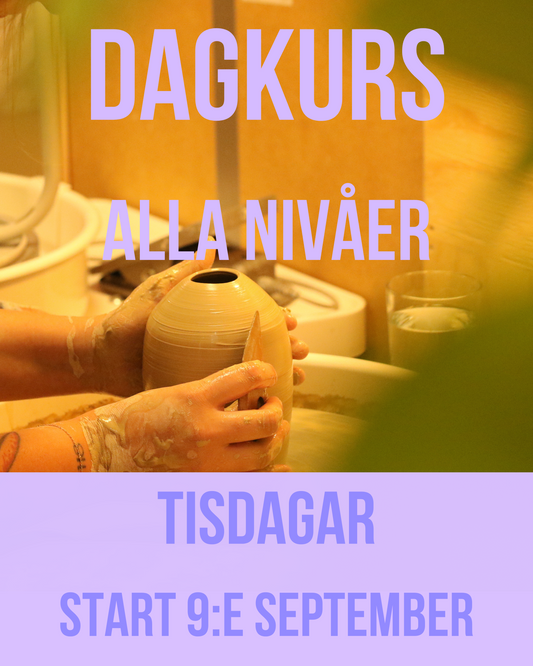 Dagkurs - HT25 - Tisdagar 10-13 - 6 tillfällen - Start 9:e September (uppehåll v.42)