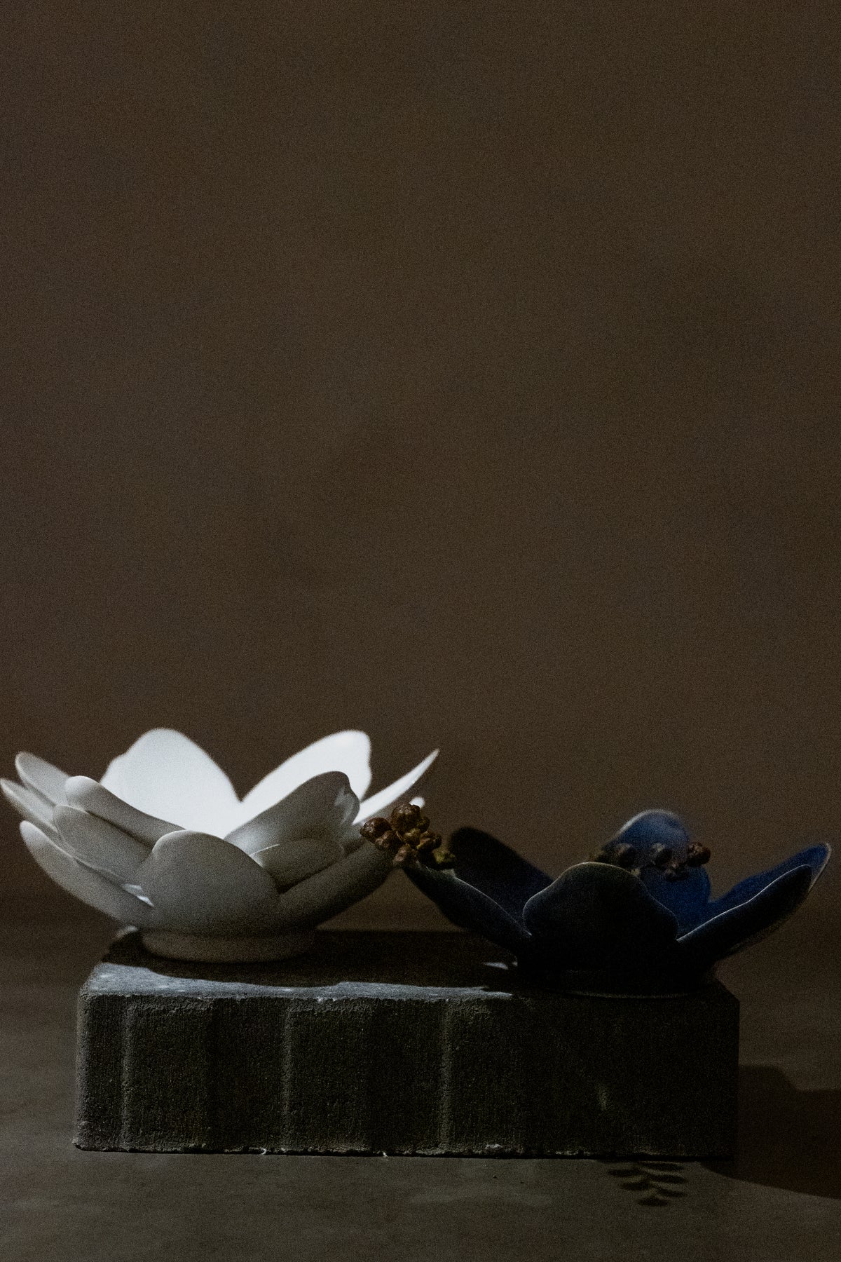 Wood Anemone, Candle Holder – Glossy White Glaze